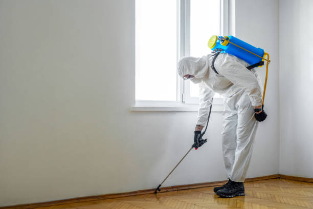 Best Pest Prevention Services  in Enterprise, AL