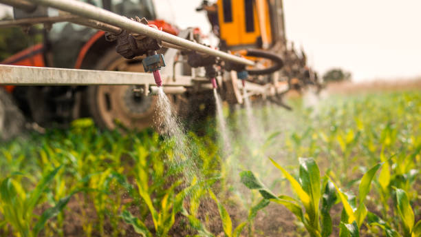 Best Ant Control Services  in Enterprise, AL