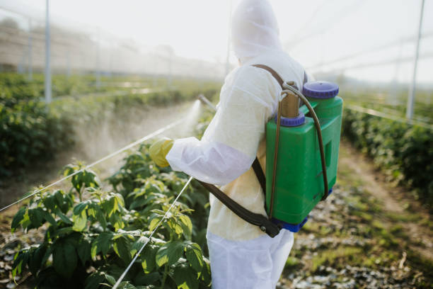 Best Wasp Removal Services  in Enterprise, AL
